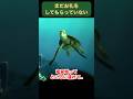 浦島登場？まだお礼をしてもらってない#クラッシュ #ディズニー #タートルトーク