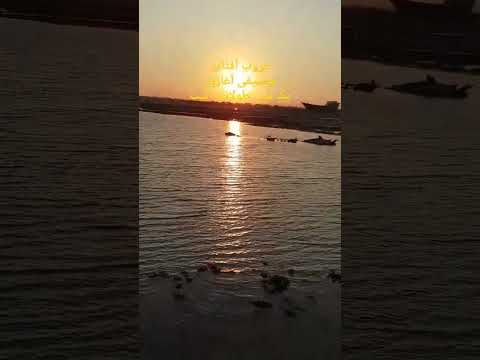 Https Www Instagram Com Aliasgharmoeini Utm Source Qr Igsh ZXBnYXg0bHRob3k2 