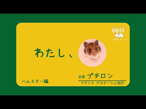 Eテレ 0655『わたし、犬、いぬ』 ハムスター編『わたし、ハムスター』0655パロディー