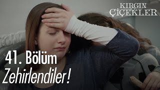 Kızlar zehirlendi! - Kırgın Çiçekler 41. Bölüm