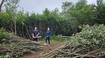 Clearing Trees on the Homestead | Prepping for Vegetable Gardening | We Found a Bunkie