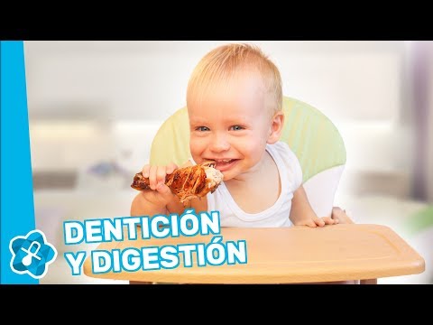 Dentición y digestión: así afectan los dientes a la digestión