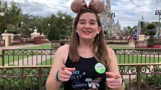 How To Disney Magic Kingdom