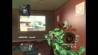 Windowshot HM