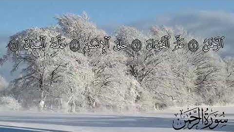 سورة الرحمن بصوت القارئ سمير عزت