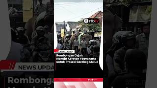Rombongan Gajah dari Gembira Loka Zoo Menuju Keraton Yogyakarta untuk Prosesi Garebeg Mulud