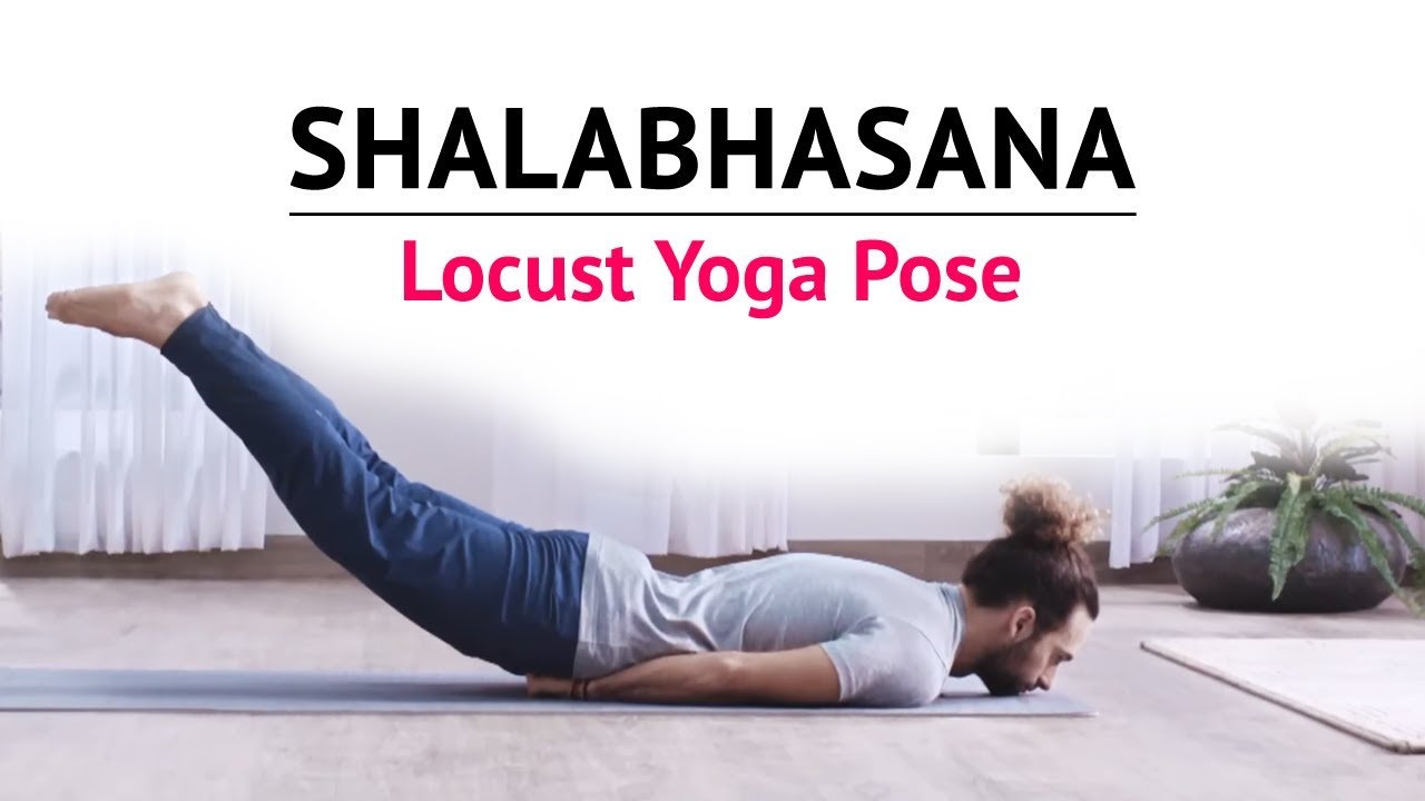 Premium Photo | Woman practicing yoga doing eka pada shalabhasana the locust  pose variation