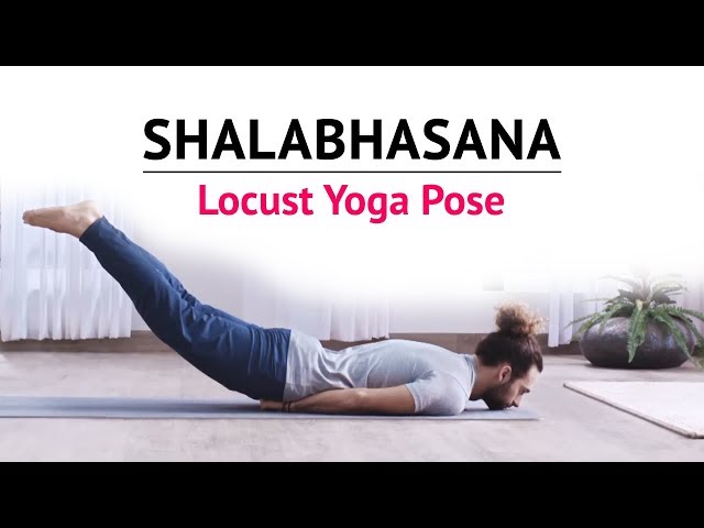 Locust Pose (Shalabhasana) Instructions & Photos • Yoga Basics