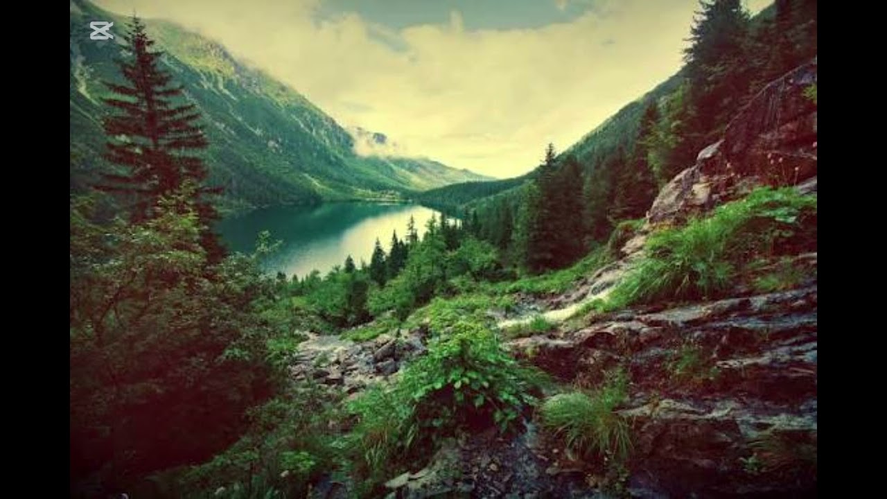 Nadiriler Mevlidi Şerif 