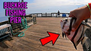 BUCKROE FISHING PIER HAMPTON VA Catching Multiple Species at BUCKROE SALTWATER FISHING SPADEFISH