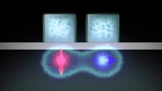 Animation: A two-qubit logic gate in silicon | w/ NARRATION