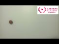 Penny Slide Ease in Ease Out - Aardman Academy