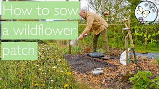 How to start a wildflower patch