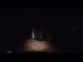 Haunted Aokigahara at Night  Part 2,  VR-360  (Into the forbidden zone)