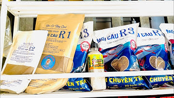 Cách trộn mồi câu cá tra sông dành cho người mới #camr1 #camr2 #camr3 #catrasong