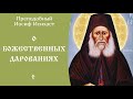 11/25 О Божественных дарованиях ☦️ Преподобный Иосиф Исихаст