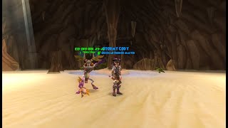 Pirate101 The new best witchdoctor companion! Eep Opp Ork Ah-Ah is buffed! by Stormy Cody 783 views 3 months ago 8 minutes, 59 seconds