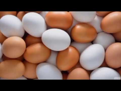شوف وصل لكام انخفاض أسعار البيض الأبيض والأحمر فى الأسواق