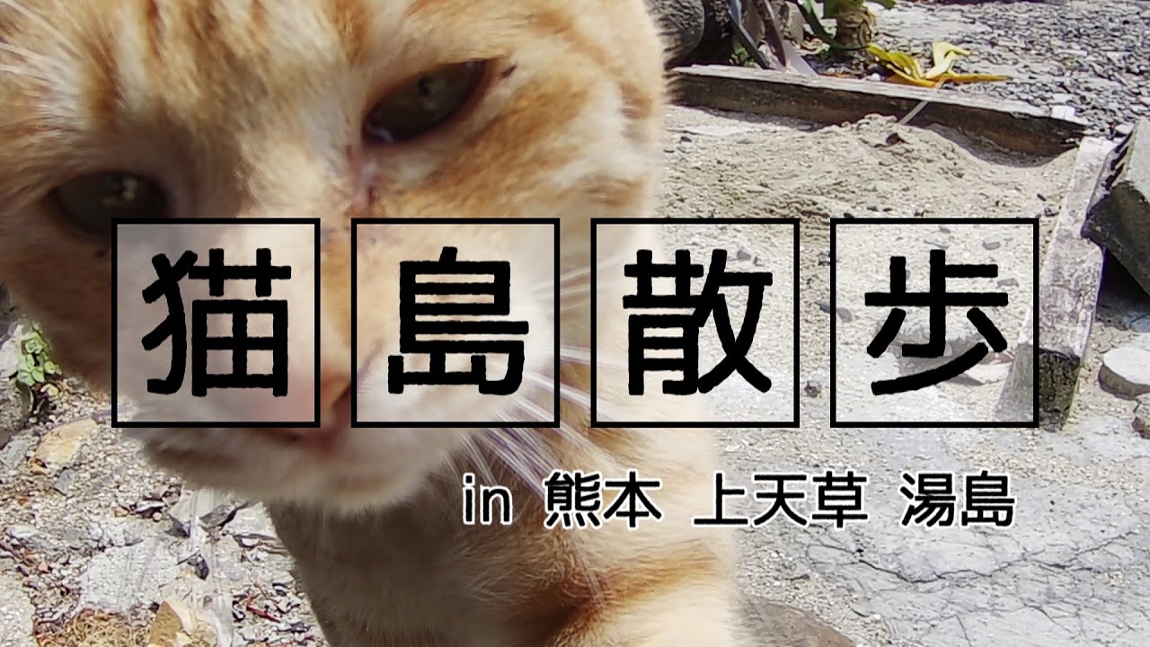 【Vlog】猫島散歩【熊本県上天草市大矢野町 湯島】