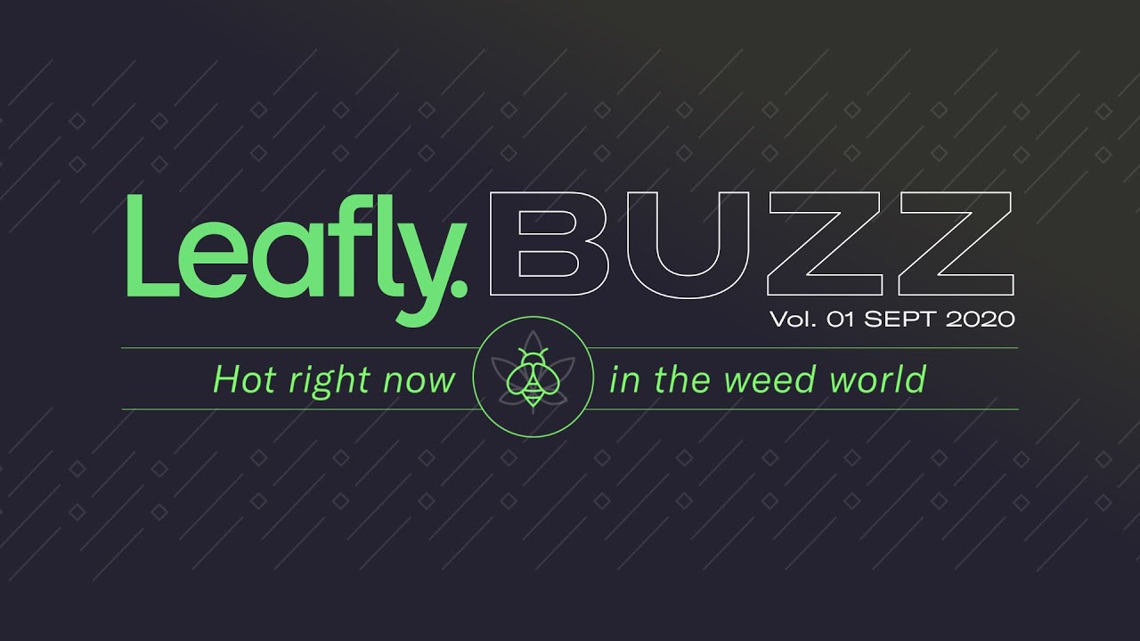 Leafly Buzz Vol. 01 🐝 September 2020 Edition