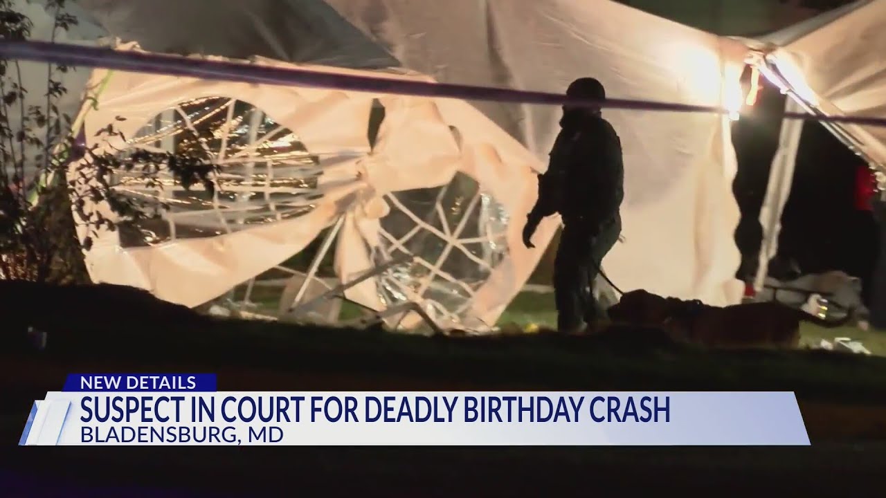Suspect in court for deadly birthday party crash - YouTube
