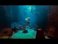 A special day with a magical real mermaid underwater WOW!