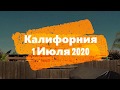 Обзор голубят в Калифорнийскую жару 1 Июля 2020 года.