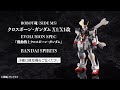 ROBOT魂 〈SIDE MS〉 クロスボーン・ガンダム X1/X1改 EVOLUSION SPEC 『機動戦士クロスボーン・ガンダム』＜BANDAI SPIRITS＞【あみあみオリジナルPV】