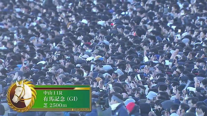 中山 芝2500M 有馬記念 GⅠ 2024年12月22日
