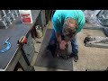 Middle of video