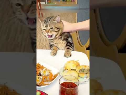 Ой как хочется вкусняшек !!