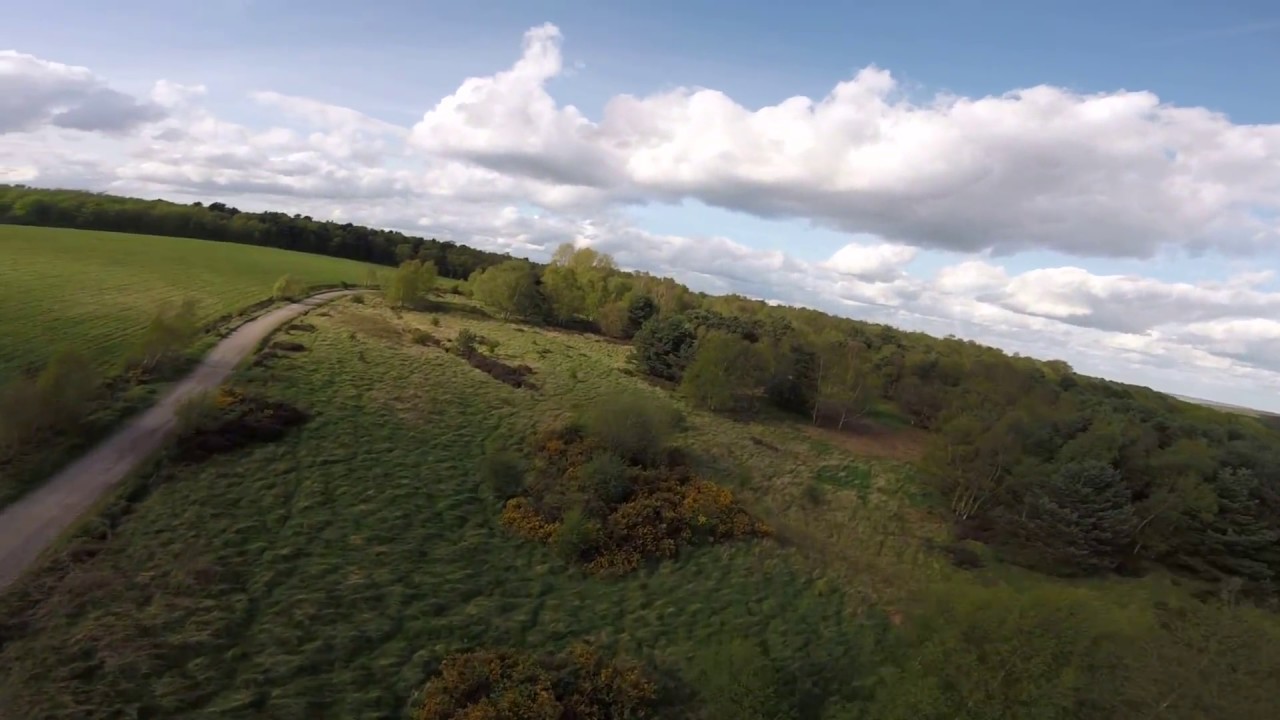 Raceflight One Skitzo Revolt FC Stock Pids (RC12 / Kiss Rates) RF1