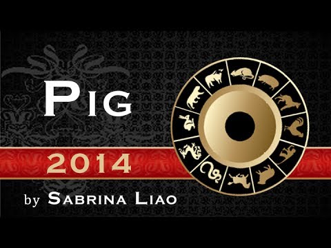 Pig - 2014 Forecast (Chinese Astrology by Sabrina Liao)