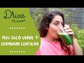 Como eu faço meu suco verde | Vlog da Drica