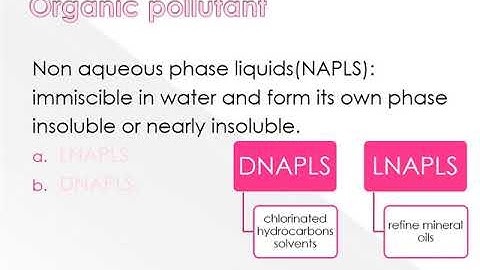 groundwater Contamination  and Control (Shazly Bisher)