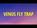 Marina  venus fly trap lyrics