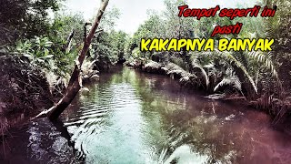 spot rahasia ikan kakap, sungai kecil pertemuan air tawar dan asin