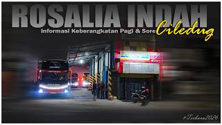 A FRESH FACE AT THE ROSALIA INDAH CILEDUG AGENT‼️Review, Morning & Afternoon Departure Destinatio...