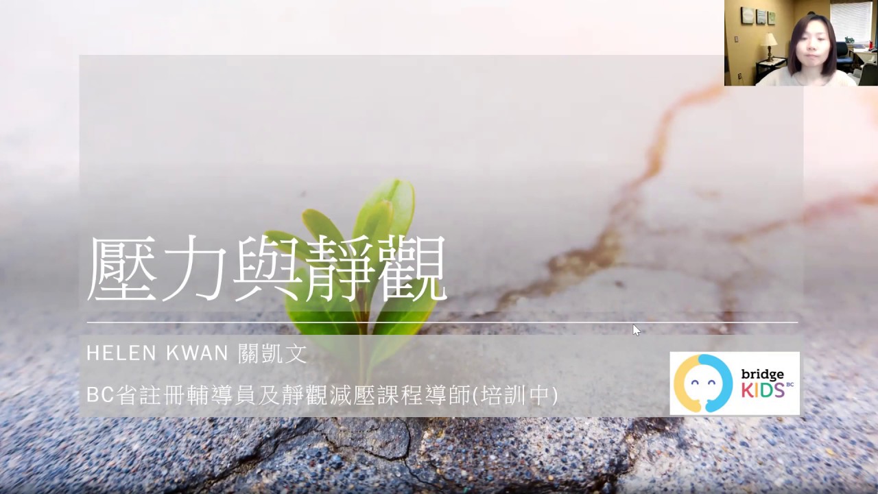 壓力與靜觀網上分享會 Mindfulness