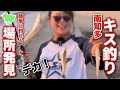 【愛知県釣り】急げ!南知多・デカキスが簡単に釣れる場所発見!釣れるエリアを徹底検証!