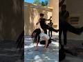 Instant Regret![NVN Kindness Channel] #action #kindness #respect #goodman #happy #humanities#shorts