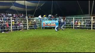 rancho la milpita presentando su toro el Cómico en el santo desierto  tenancingo