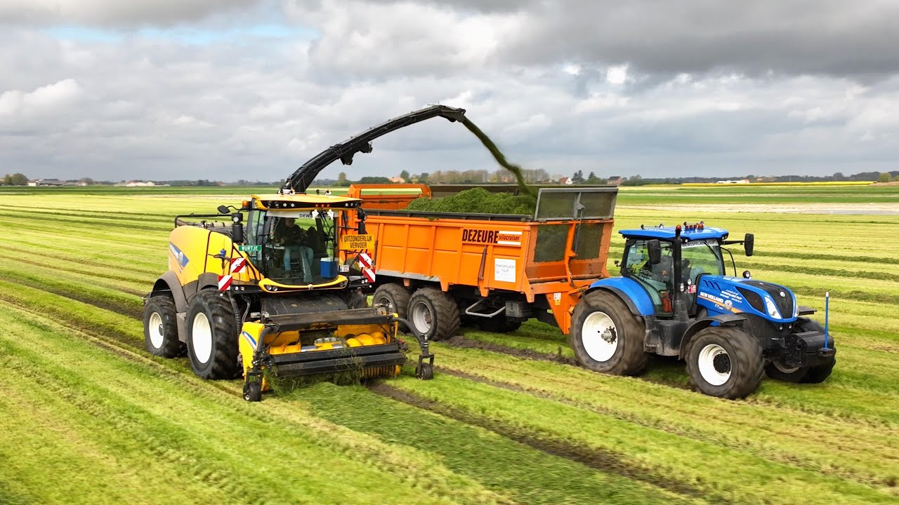 Gras hakselen Chopping grass Gras häckseln New holland Dezeure Caterpillar