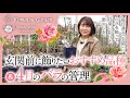 玄関前を素敵に彩るおすすめの品種&4月のバラの管理