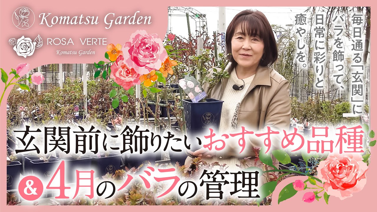 玄関前を素敵に彩るおすすめの品種＆4月のバラの管理