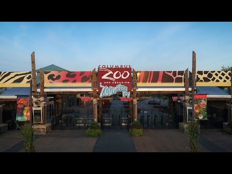 Wideo: Czy bilety do zoo Columbus podlegają zwrotowi?