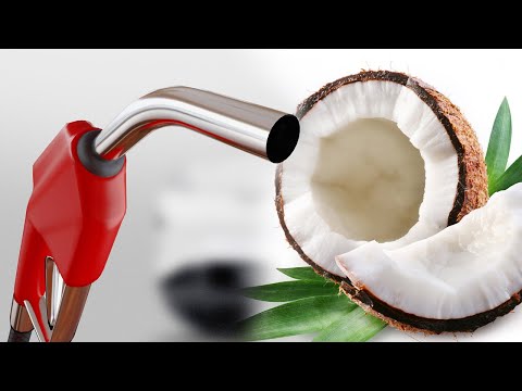 Alternative Automotive Fuels