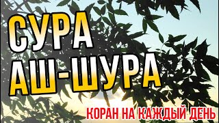 КОРАН ДЛЯ ДУШИ Сура 42 Аш-Шура - КРАСИВОЕ ЧТЕНИЕ КОРАНА ДЛЯ ДУШИ | Чтение и смысловой перевод