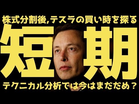 【短期】株価動向を探りつつ、買い時について回答します | テスラ株全力ちゃんねるのタイツ #28