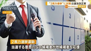 「2馬力選挙」問題、SNSでの偽情報対策ふくむ公職選挙法改正案を提出へ　【グッド！モーニング】(2025年2月15日)